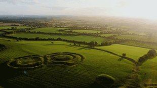 | green tara college Aerial view of sunlit green fields with circular crop patterns and hedgerows.
