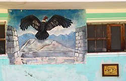 Condor | green tara college