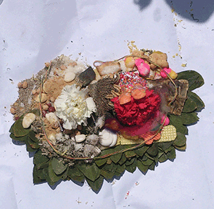Decorative natural art piece with dried flowers, shells, coral, and seed pods arranged on a circular bed of green leaves.
