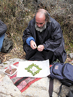| green tara college Don juan nunez del prado making despacho