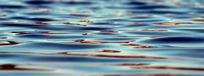 Image by noname_13 from pixabay