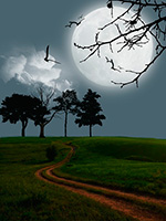 Image by bing n. From pixabay