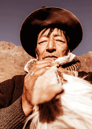 Soul-retrieval-training-course | green tara college Man wearing a brown wide-brimmed hat holding a white chicken close to the camera, desert hills in the background.
